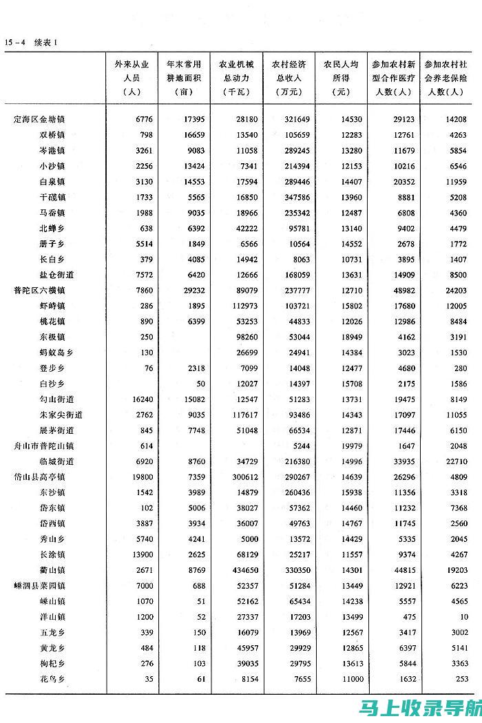 乡镇统计站站长在乡村经济发展中的角色与靠谱性评估