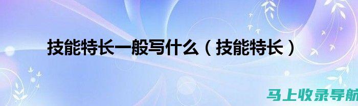 站长必备技能：如何打造高效网站运营团队？